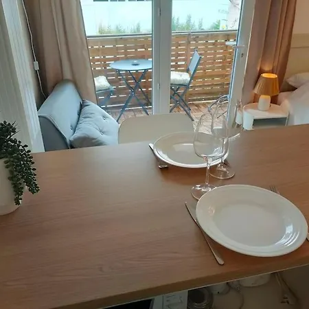 Agreable Avec Balcon Et Parking 佩里格